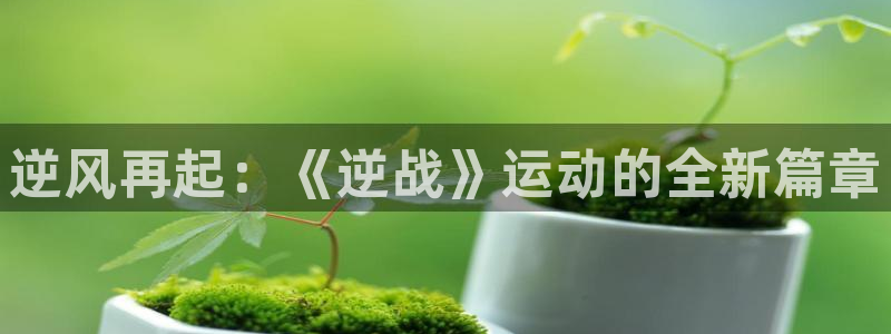 熊猫体育app官方下载最新版