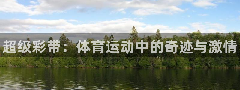 熊猫体育公园价格