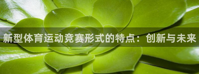 中山熊猫体育