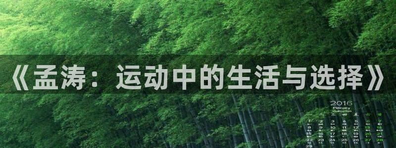 熊猫体育app官方下载最新版