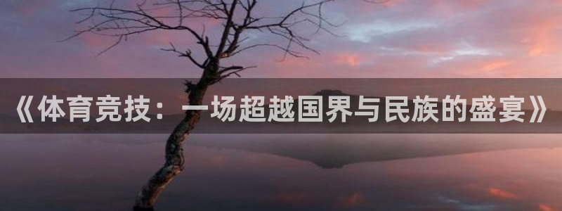 熊猫体育在线