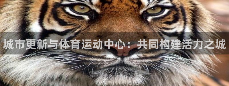 熊猫体育app官方下载最新版