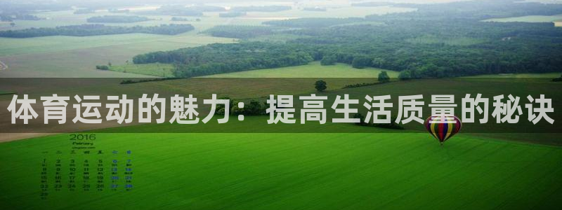 动感熊猫体育公园