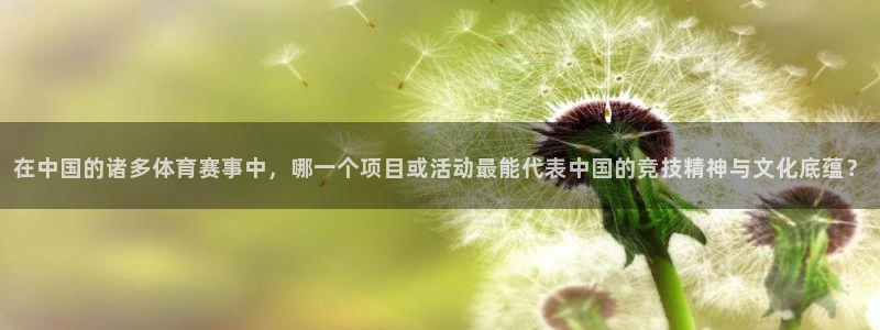 熊猫体育平台官网