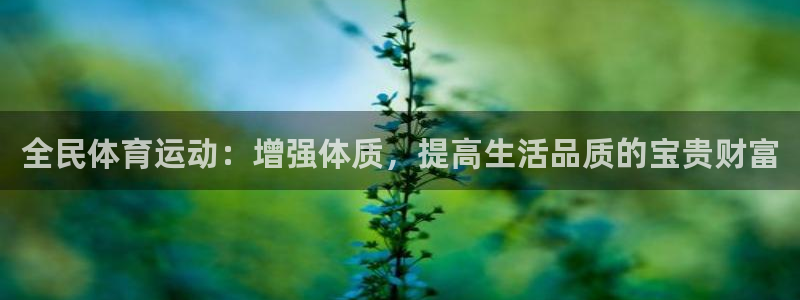 熊猫体育官方网站