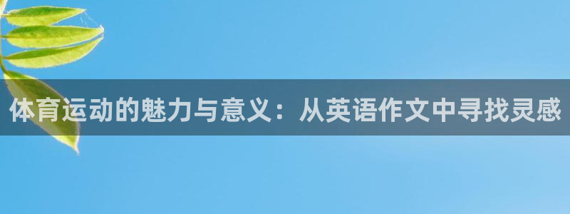 熊猫体育公园价格