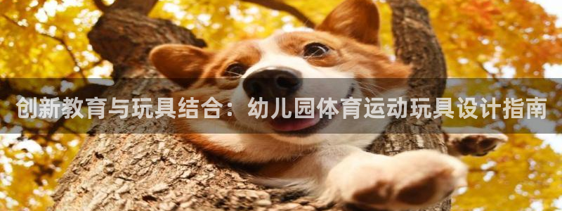 熊猫体育公园