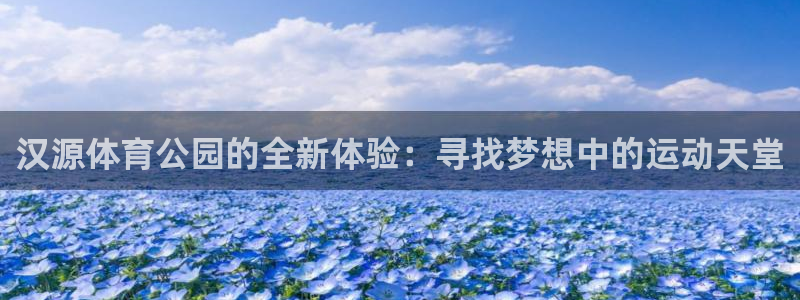 熊猫体育平台官网